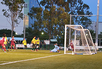 ��̑�Q����