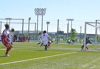 ���ʎ��R�w����