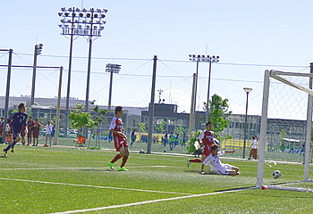 ���ʎ��R�w����