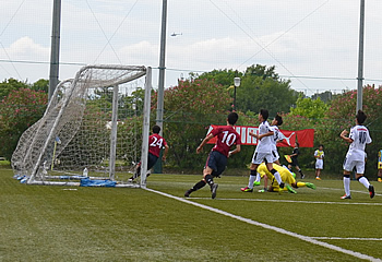 �Z���b�\���B��