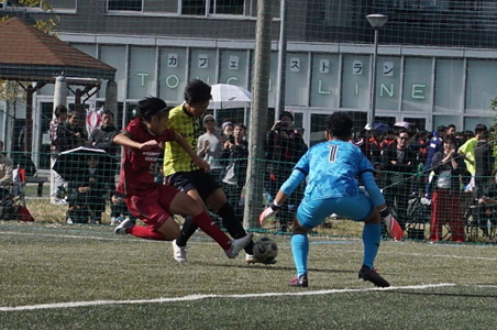 �A�T���v�V�������ۍ��Z��