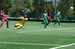 ���Y�Ƒ�w������