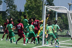 ���Y�Ƒ�w������