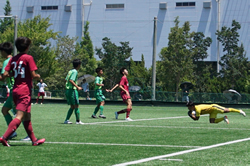 ���Y�Ƒ�w������