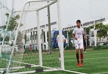 �A�T���v�V�������ې�