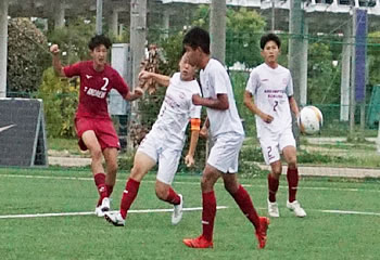 �A�T���v�V�������ې�