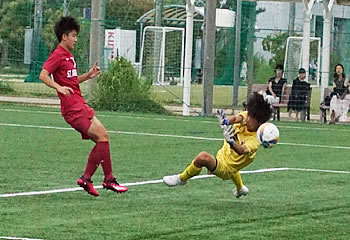 �A�T���v�V�������ې�