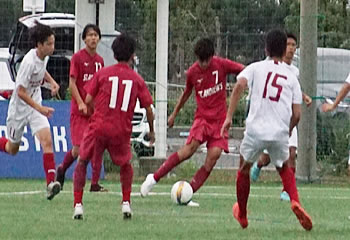 �A�T���v�V�������ې�