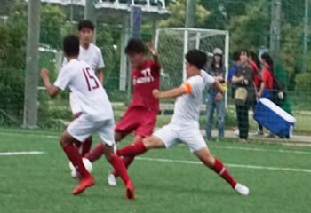 �A�T���v�V�������ې�