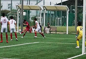 �A�T���v�V�������ې�