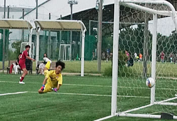 �A�T���v�V�������ې�