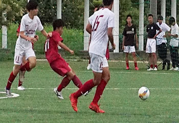 �A�T���v�V�������ې�