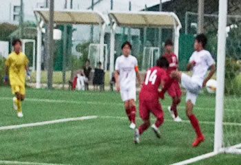 �A�T���v�V�������ې�