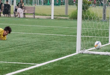 �A�T���v�V�������ې�