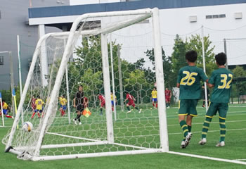 ���ʊw����