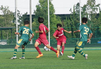 ���ʊw����