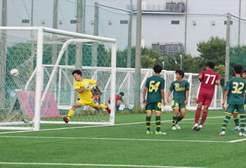 ���ʊw����