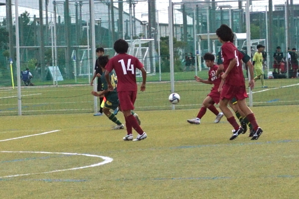 ���ʊw����