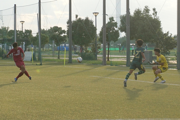 ���ʊw����