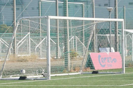 ���ׂ��Ċw��