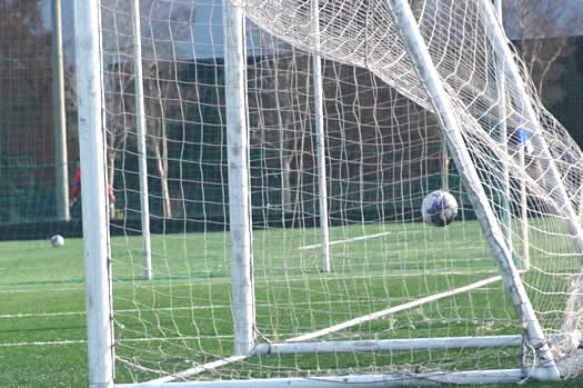 ���ׂ��Ċw��